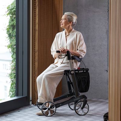 Lady seated on a rollator walker, Tyrone